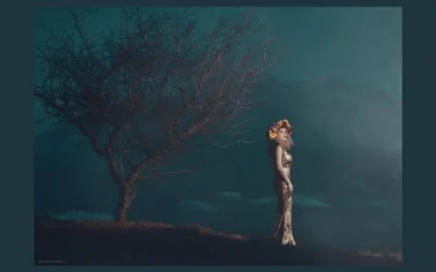 Je leven opnieuw inrichten